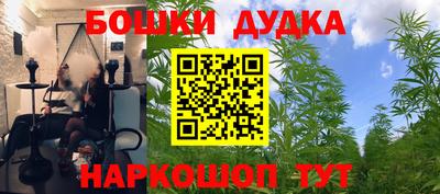 ALPHA PVP Лесосибирск