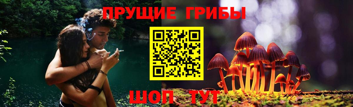 Кореновск  Псилоцибиновые грибы прущие грибы  Вход с VPN 